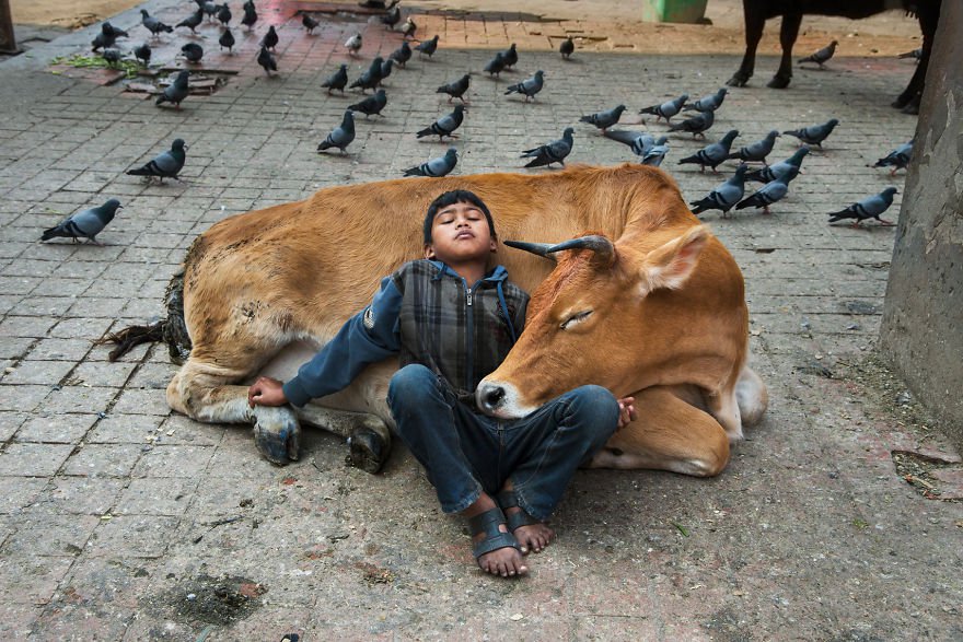 pictures-that-explore-the-relationship-between-animals-and-humans