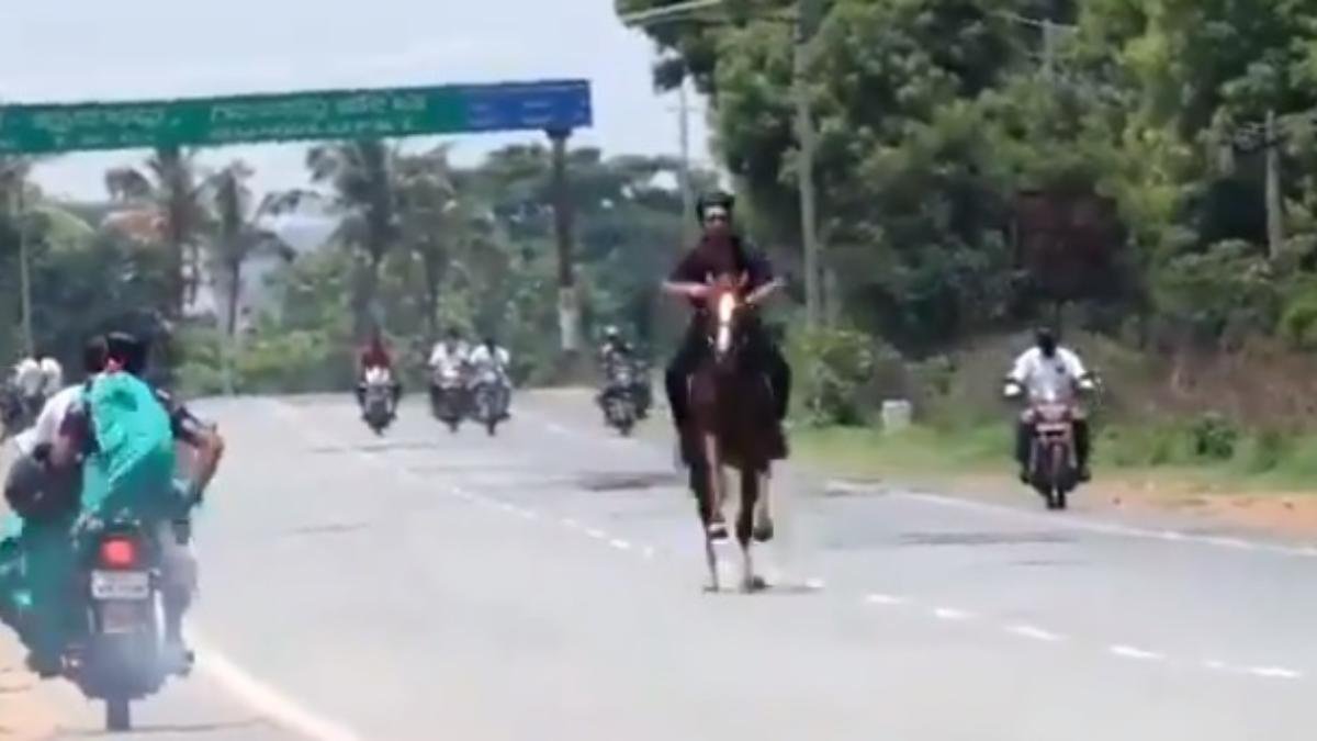Video of BJP MLA's son riding horse on highway amid lockdown goes viral