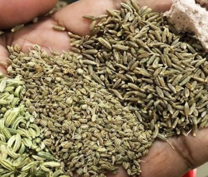 Benefits Of Jeera, Ajwain, Saunf Water पेट की समस्या हो या ब्लड प्रेशर