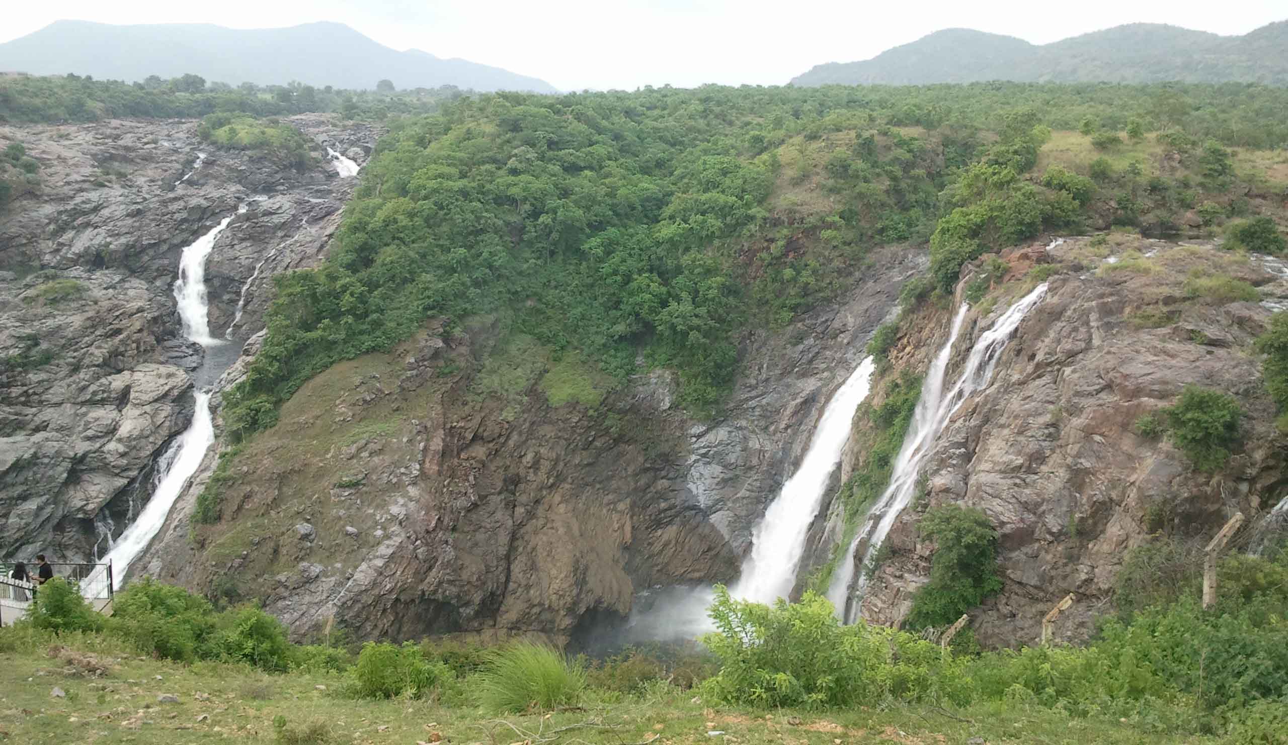 Biligiriranga Hills