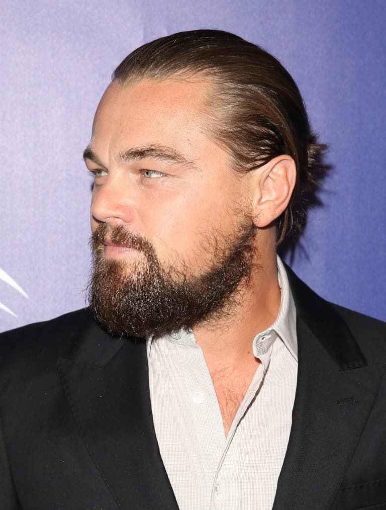 Hollywood beard