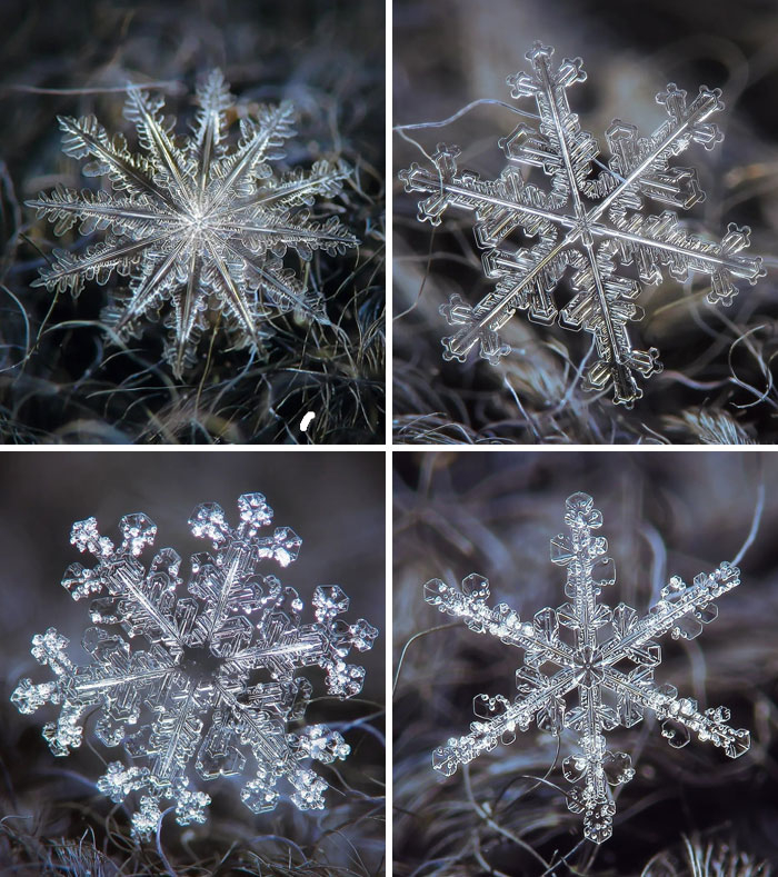 Snowflakes