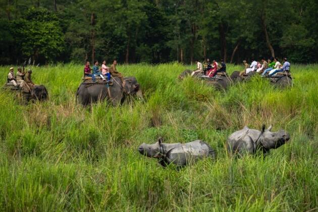 Pobitora Wildlife Sanctuary