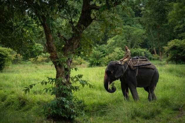 Pobitora Wildlife Sanctuary