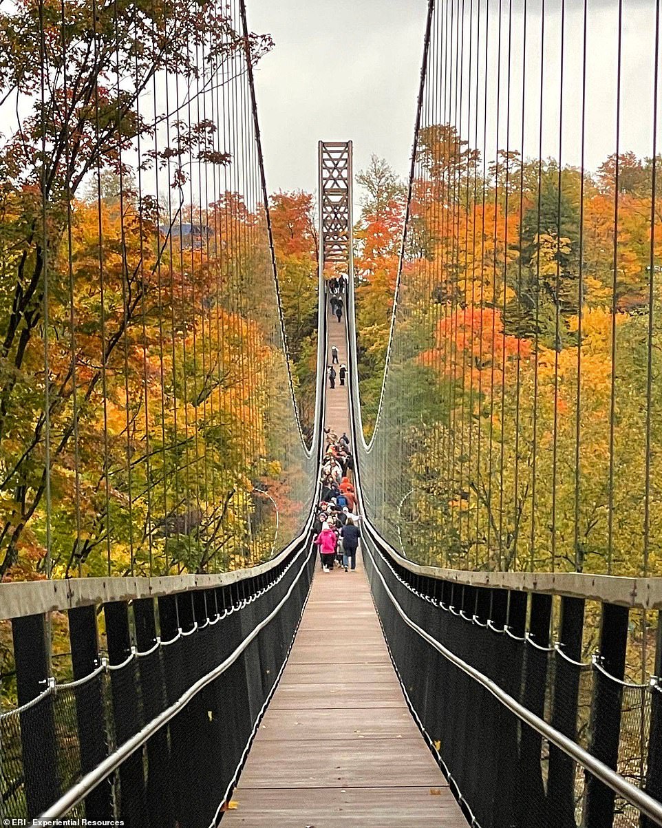 suspension bridge