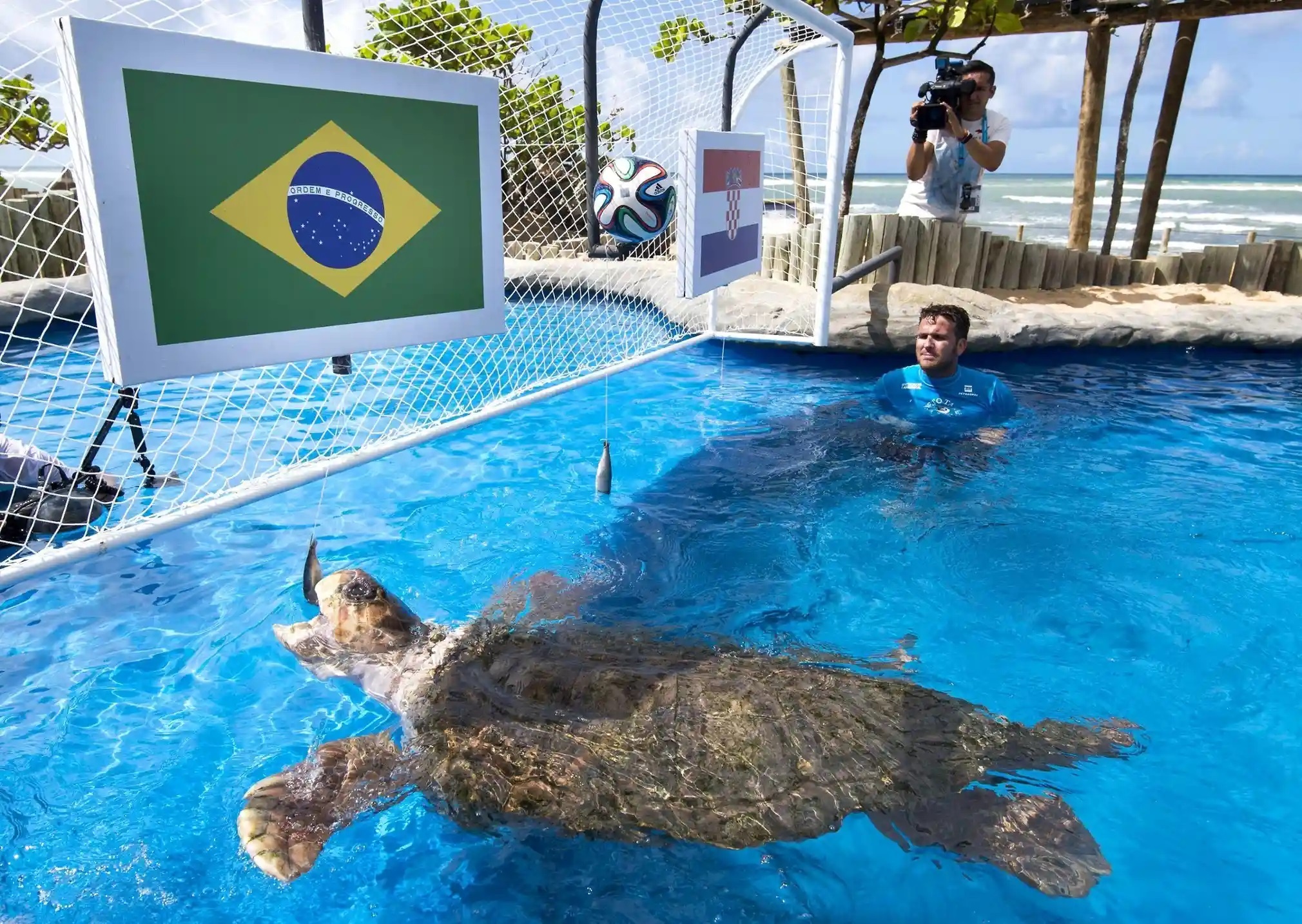 Animal that Predicted FIFA World Cup Match Result