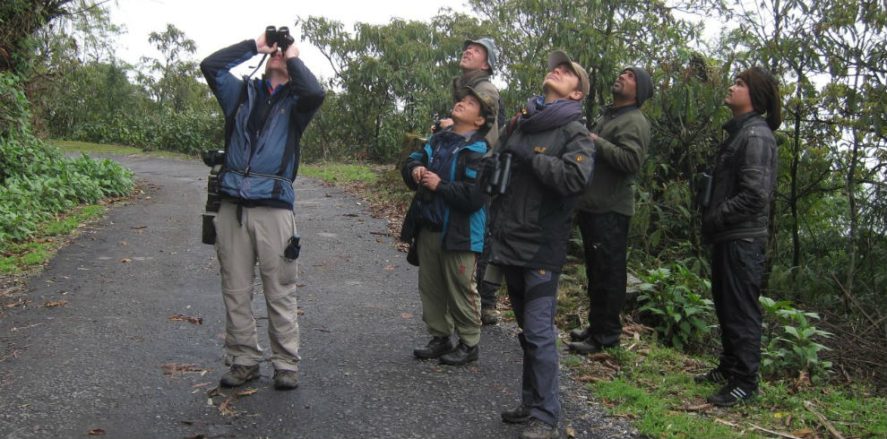 birding in india