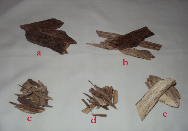 agarwood