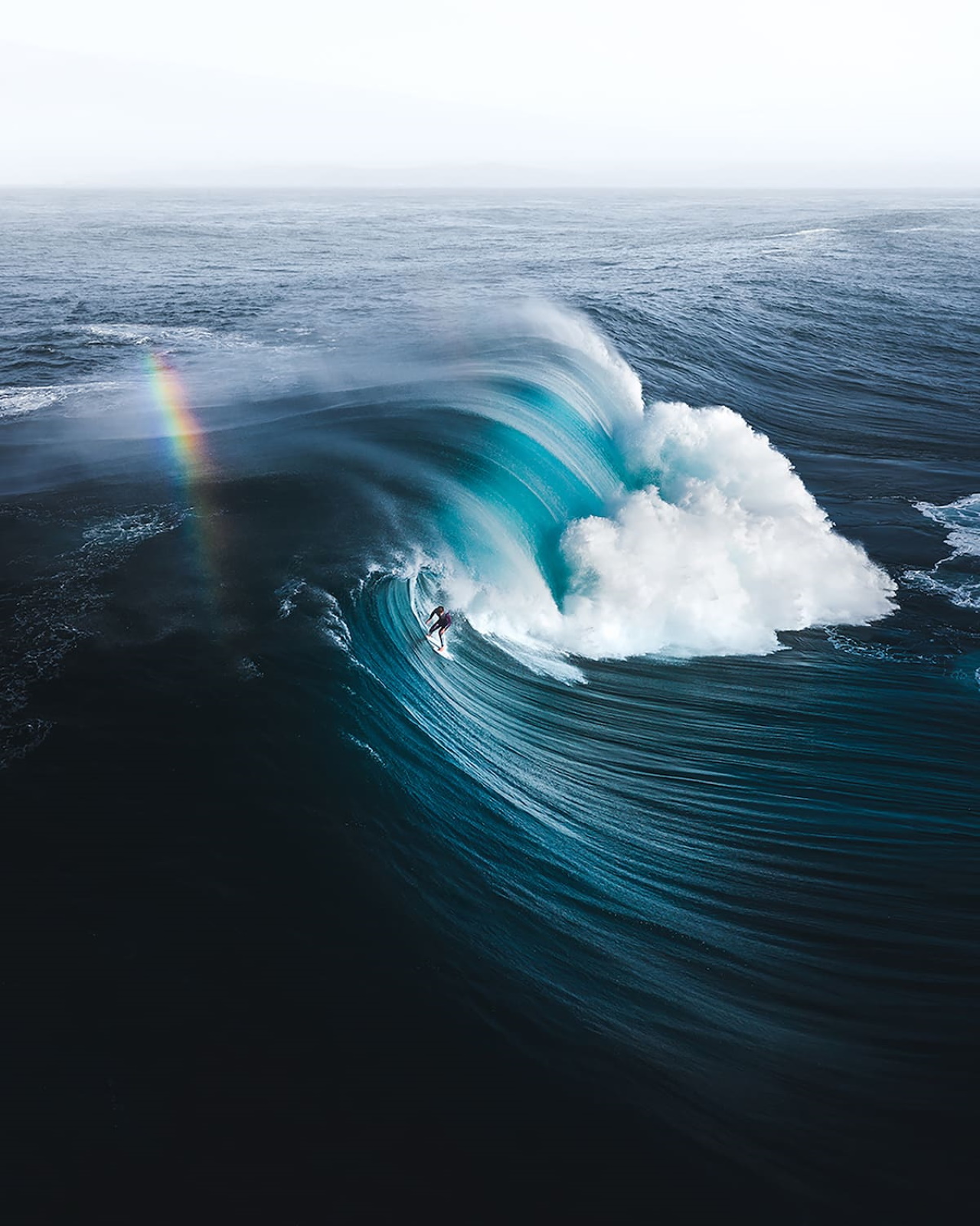  Ocean Photographers Contest
