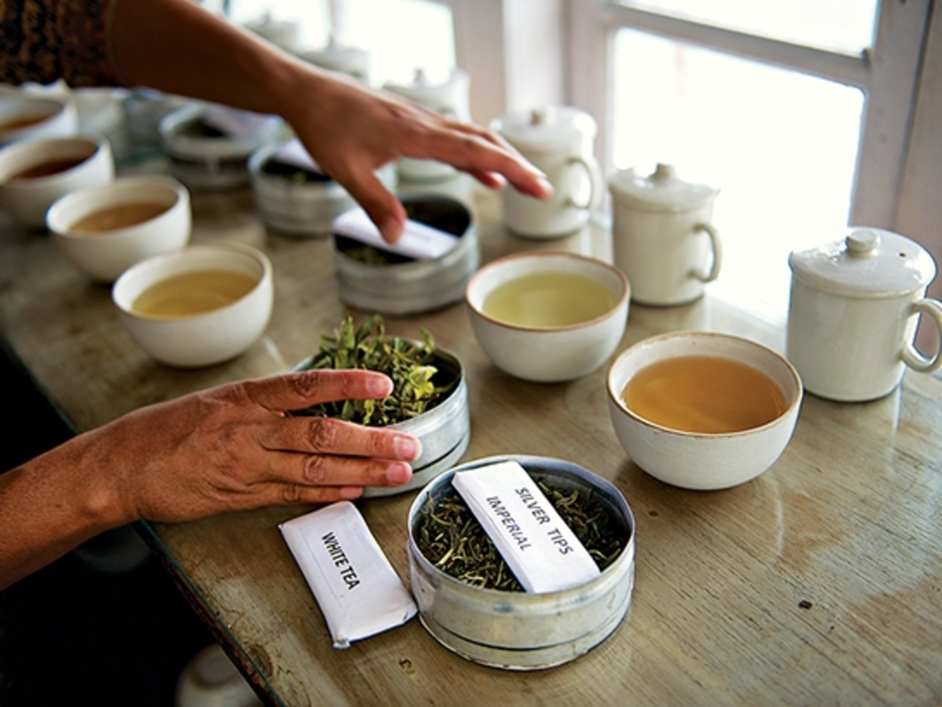 Silver Tips Imperial Tea, Darjeeling