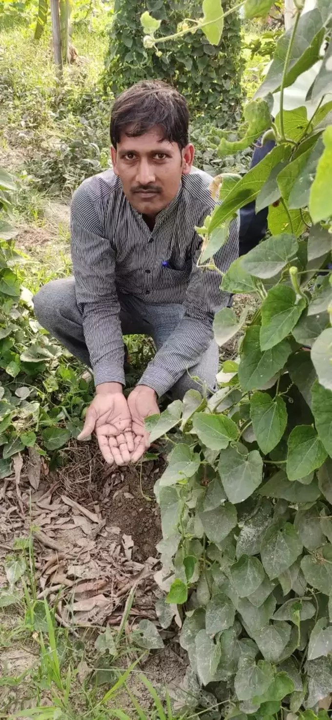 Girja Shanker Maurya Earning Lakh by Natural Farming in Hindi