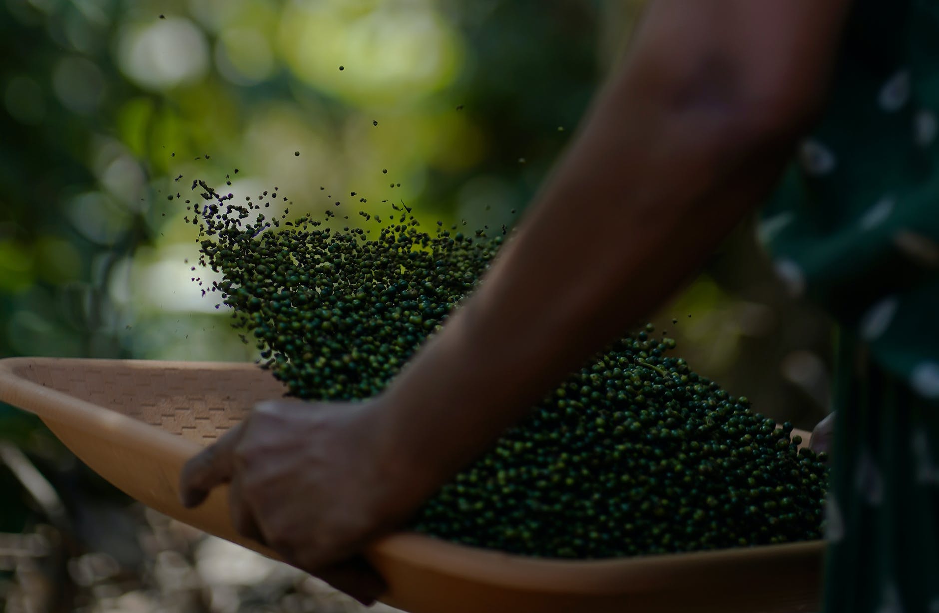 Land Of Spices