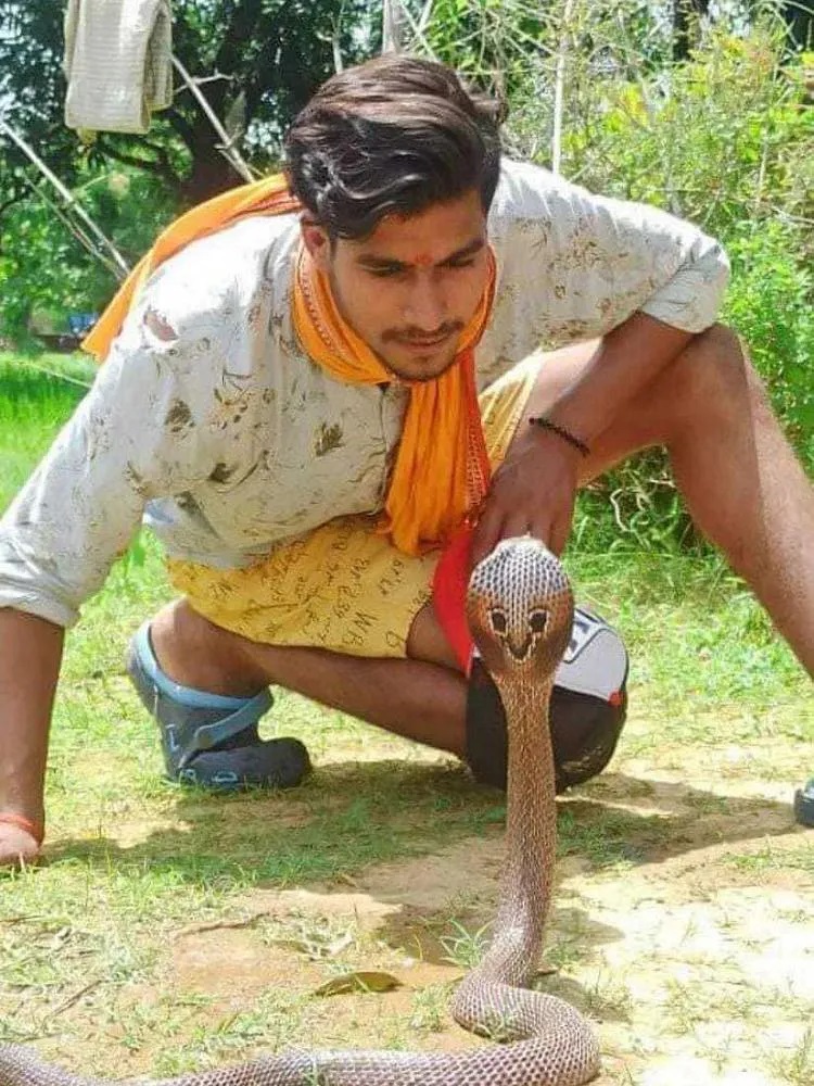 Snake Saver of Bihar Hariom Chaubey in Hindi 
