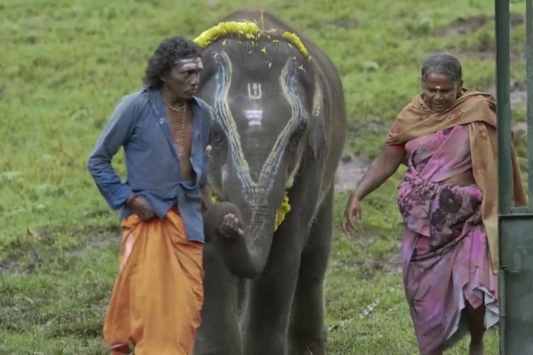 The Elephant Whisperers