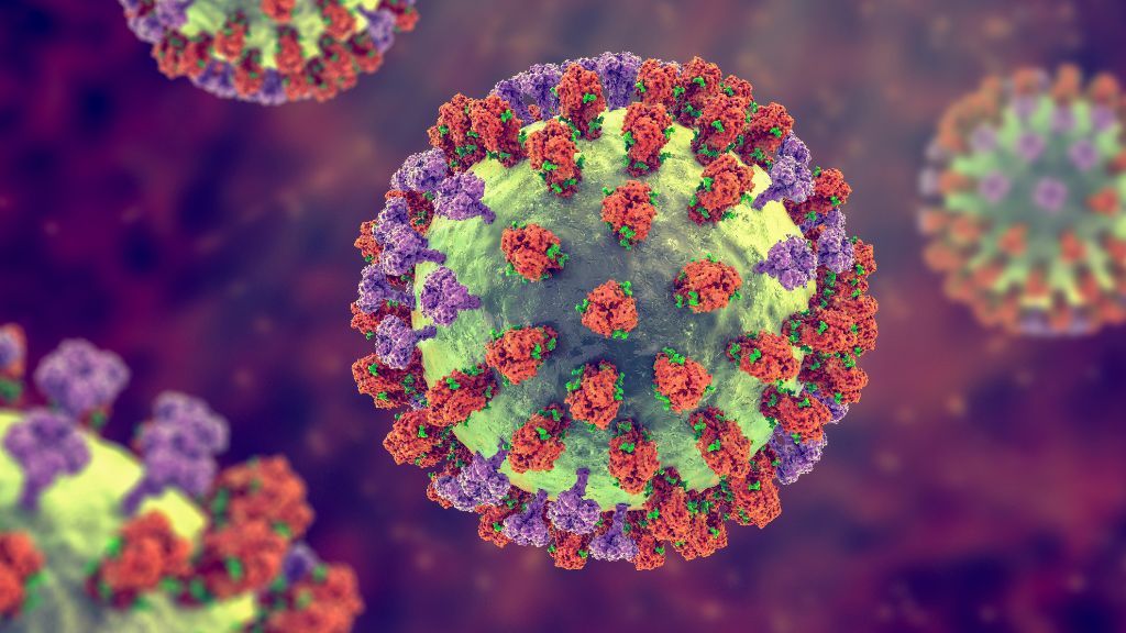 H3N2 influenza virus