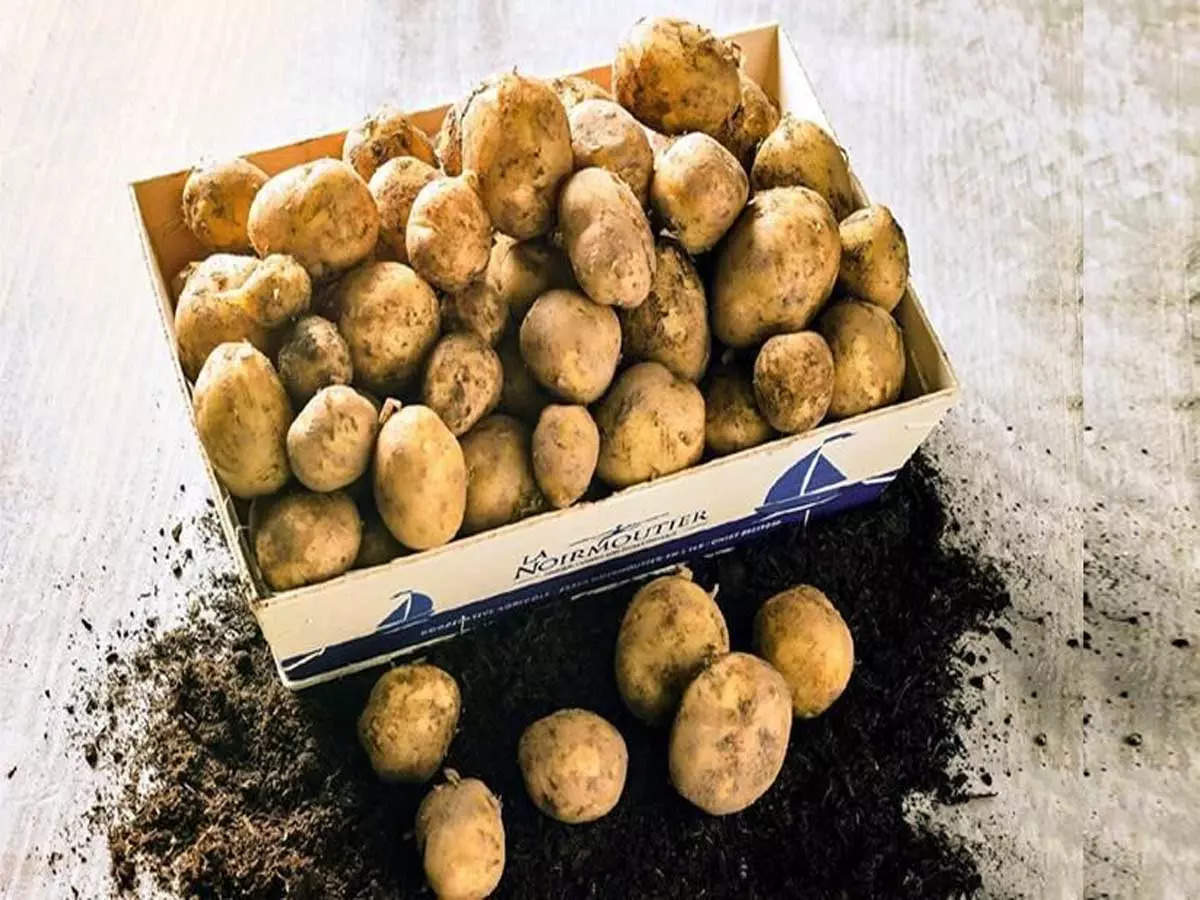 World's Most Expensive Potato