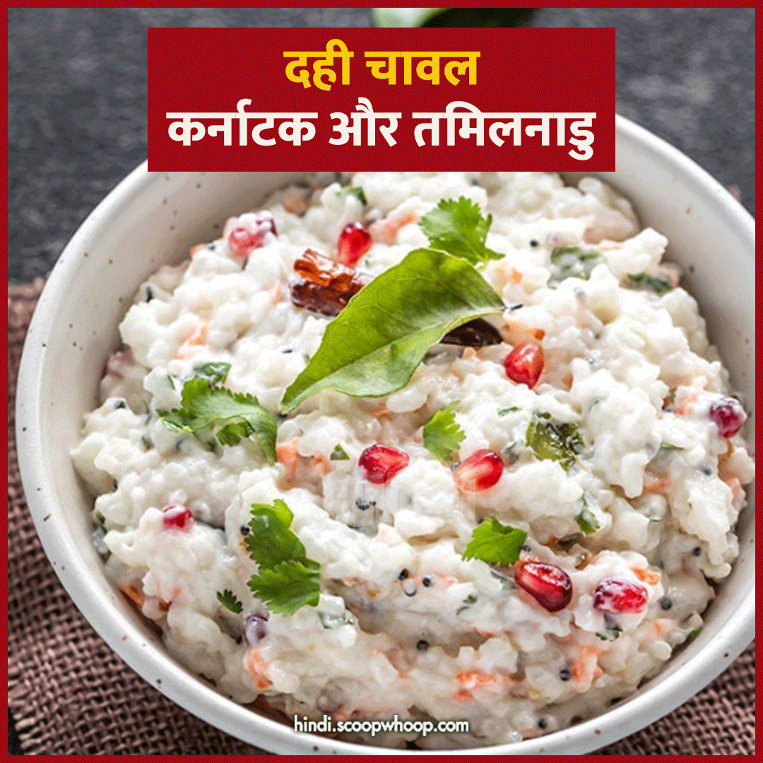 Curd Rice