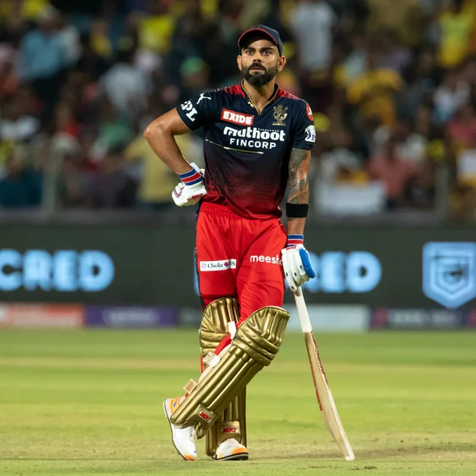 virat kohli ipl