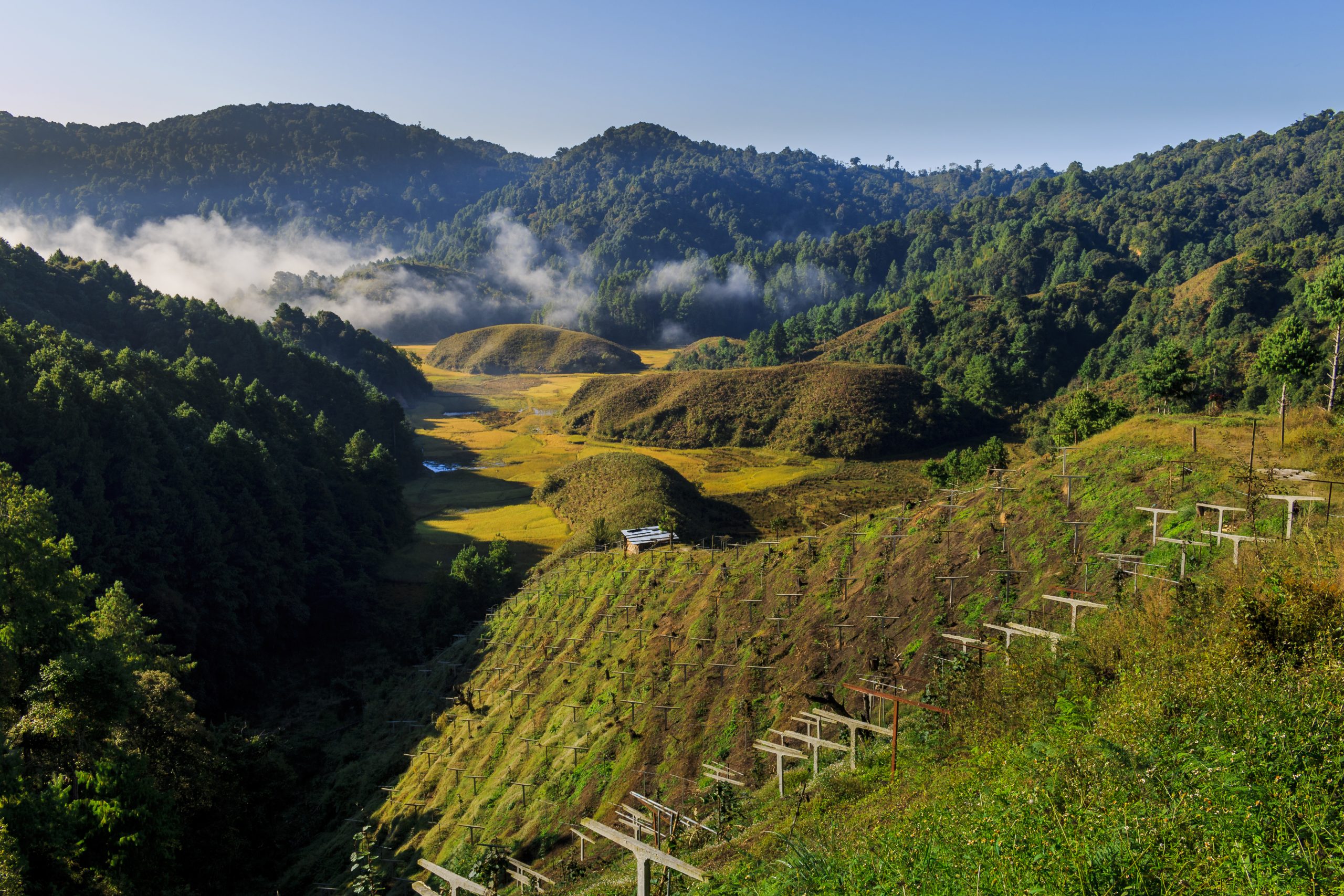 Ziro, Arunachal Pradesh