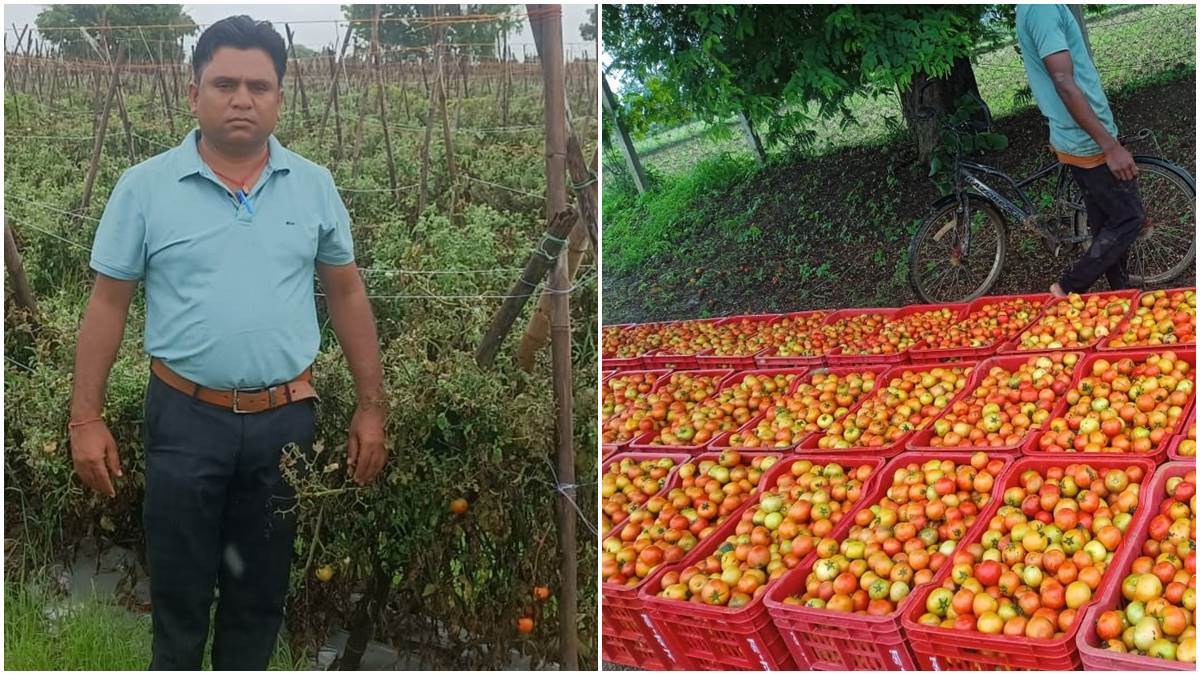 Arun Sahoo Tomato farmer