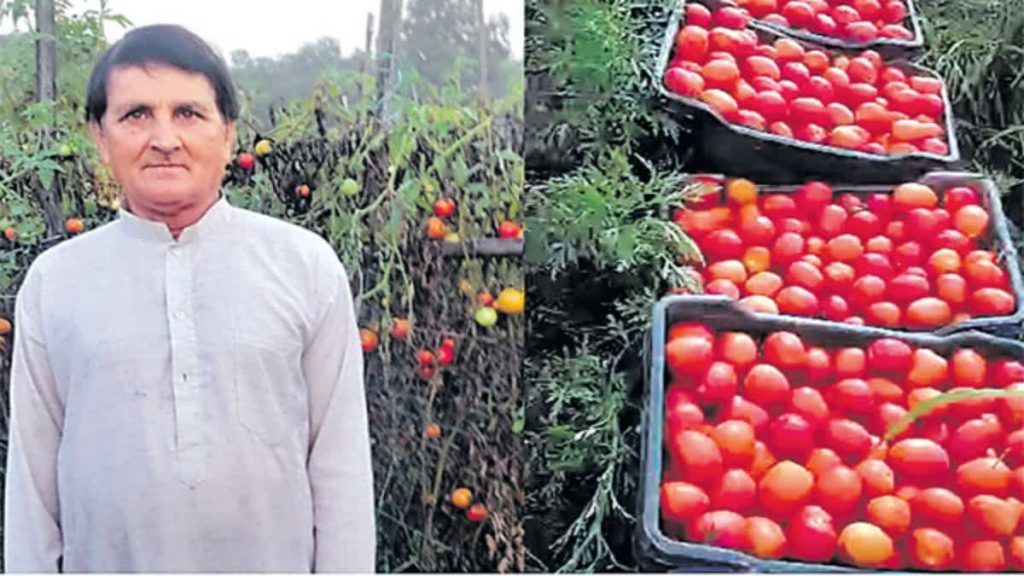 Himachal Farmer Became A Millionaire
