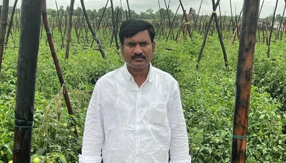 Tomato farmer from Telangana