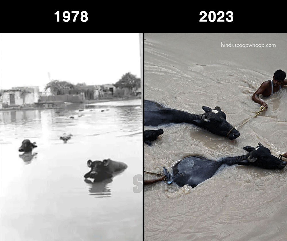 delhi floods 1978