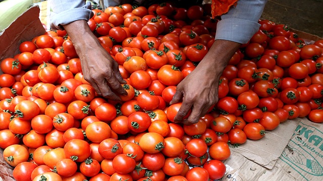 Tomatoes Price Hike