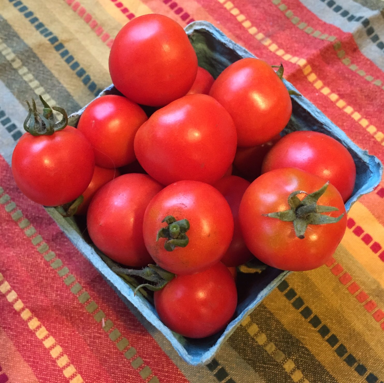 World's Most Expensive Tomato Seeds