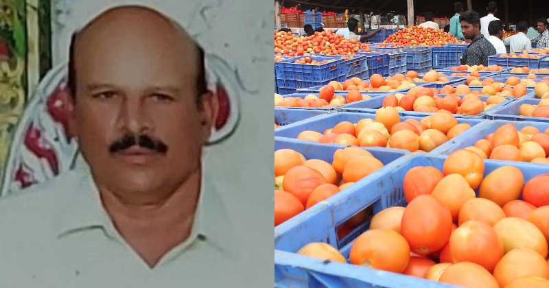 tomato farmer