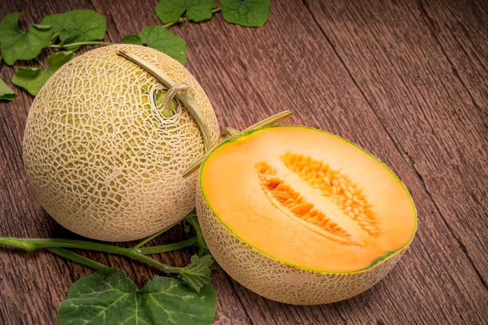 Most Expensive Muskmelon in the World in Hindi