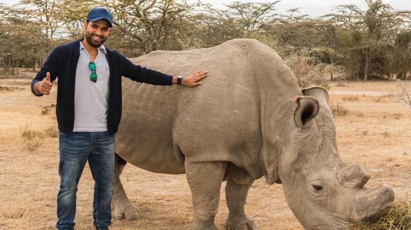 rohit sharma rhino